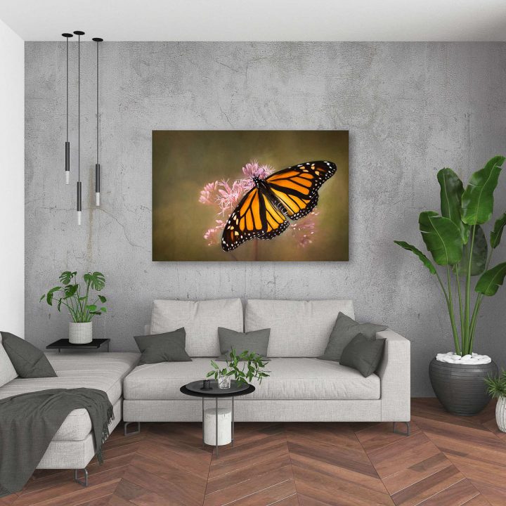 Butterfly-Kisses-square